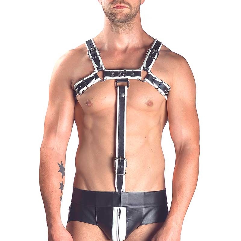 Die Rangliste unserer Top Leather harness