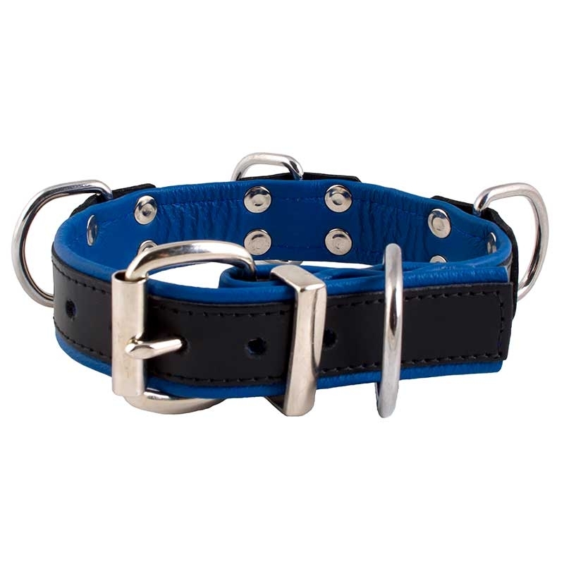 MISTER B LEATHER COLLAR 61061 color code