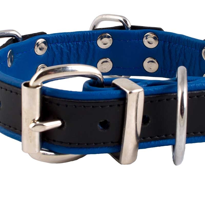 MISTER B LEATHER COLLAR 61061 color code
