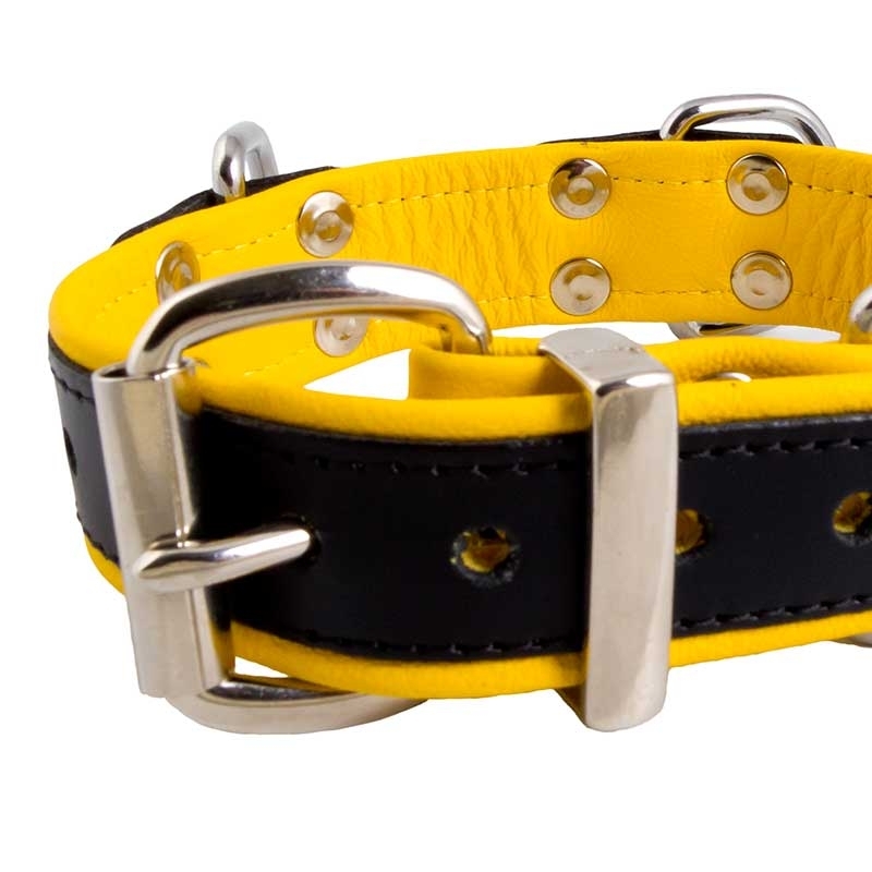 MISTER B LEATHER COLLAR 61062 color code