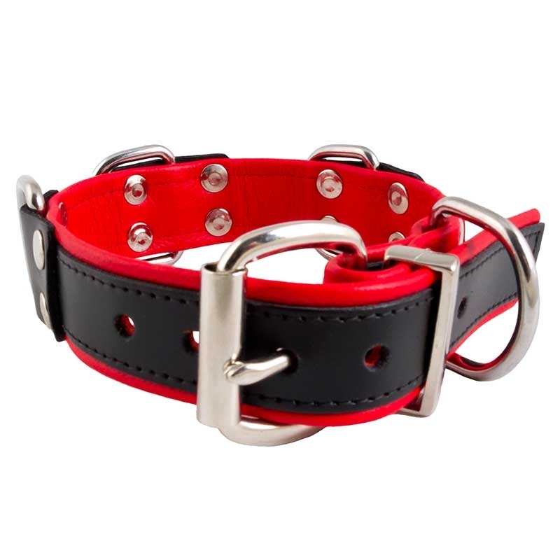 MISTER B LEATHER COLLAR 61063 color code
