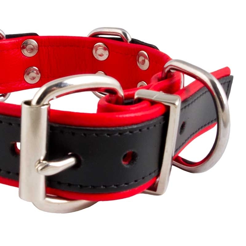 MISTER B LEATHER COLLAR 61063 color code