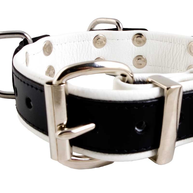MISTER B LEATHER COLLAR 61064 color code