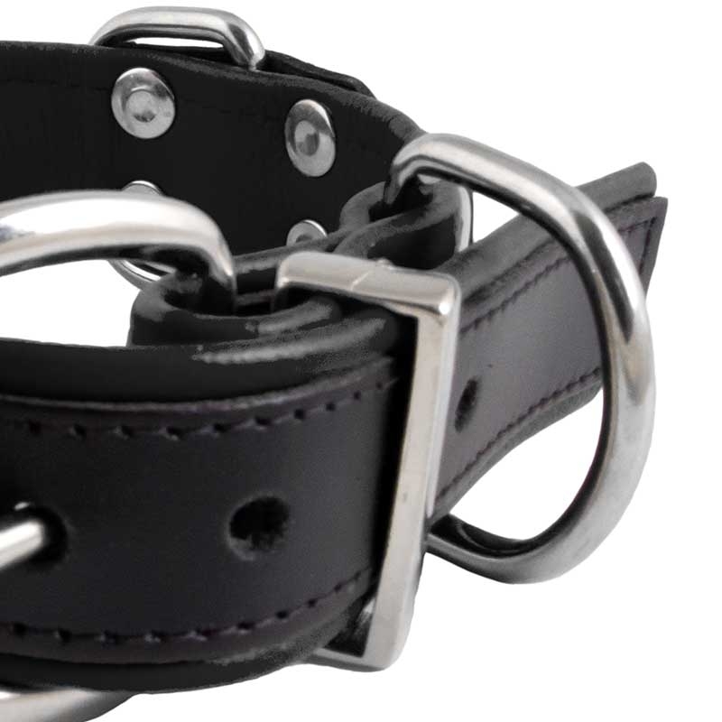 MISTER B LEATHER COLLAR 61068 color code