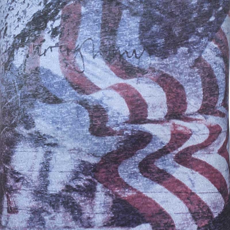 CARISMA T-SHIRT CRSMT-102 Vintage US-Flagge